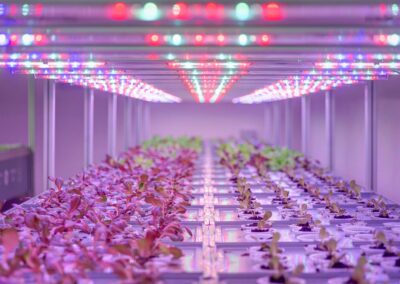 Forrest in Town: con Agricooltur la prima serra aeroponica condominiale