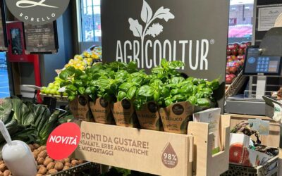 Le insalate vive di Agricooltur arrivano nei supermercati Borello