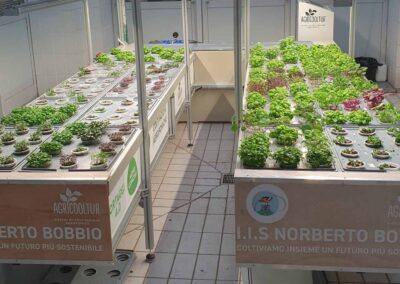 Serra didattica indoor PRESSO L’IIS N. Bobbio DI Carignano (TO)