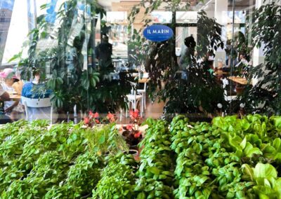 A Genova, la stella Michelin incontra l’innovazione: basilico e aromatiche coltivati in sala