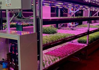 Nasce Ortindoor: a Ivrea la coltivazione indoor diventa motore di innovazione locale