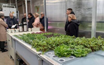 Una serra per Mirafiori: inaugurazione della prima serra aeroponica urbana al servizio della ristorazione sociale