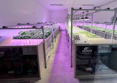 Forrest in Town: il primo condominio con orto aeroponico condiviso