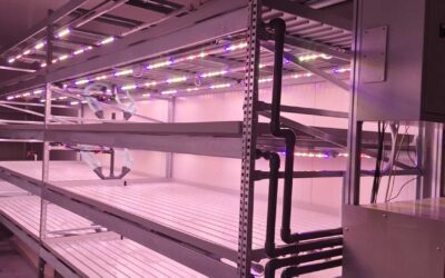 Le Gabbiane: vertical farming per azienda agricola a Mortegliano