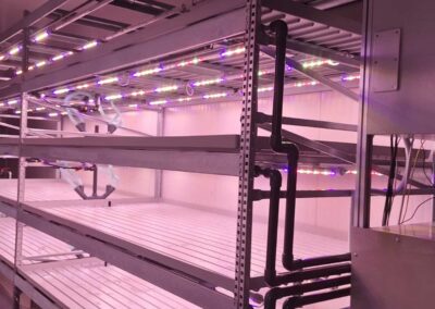 Le Gabbiane: vertical farming per azienda agricola a Mortegliano