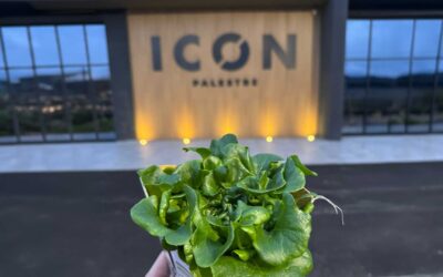 Vertical farming per palestre: il progetto ICON Frosinone