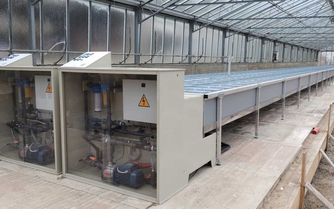 Coltivazione fuori suolo in serra: il progetto dell’Azienda Agricola Ronco