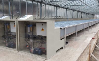 Coltivazione fuori suolo in serra: il progetto dell’Azienda Agricola Ronco